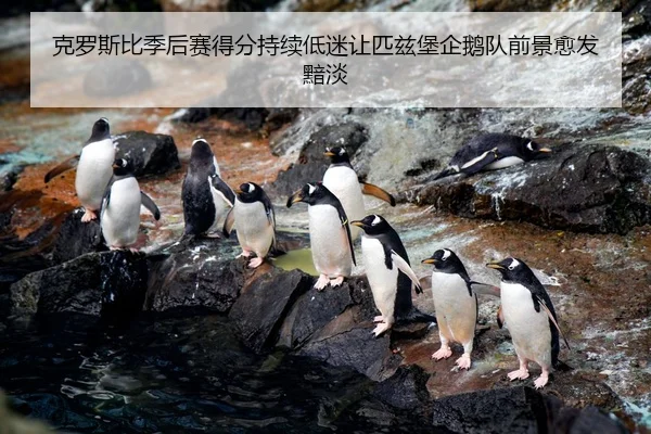 ke-luo-si-bi-ji-hou-sai-de-fen-chi-xu-di-mi-rang-pi-zi-bao-qi-e-dui-qian-jing-yu-fa-an-dan-2-712.jpg