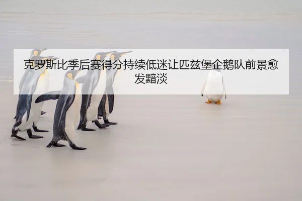 克罗斯比季后赛得分持续低迷让匹兹堡企鹅队前景愈发黯淡